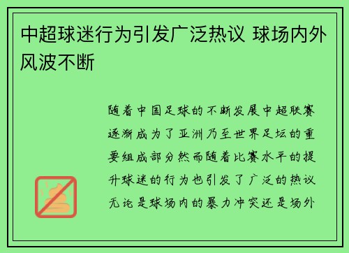 中超球迷行为引发广泛热议 球场内外风波不断